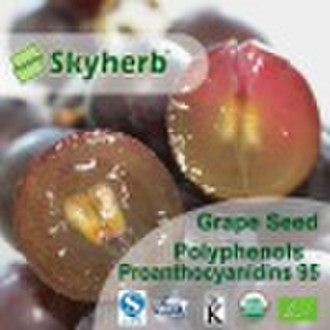 Grape seed Extract