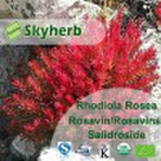 Rhodiola rosea Extract