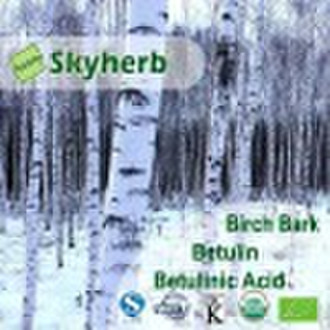 Birch bark Extract (Betulin & Betulinic acid)