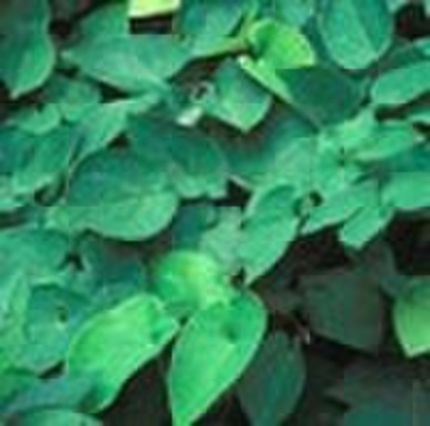 Epimedium extract