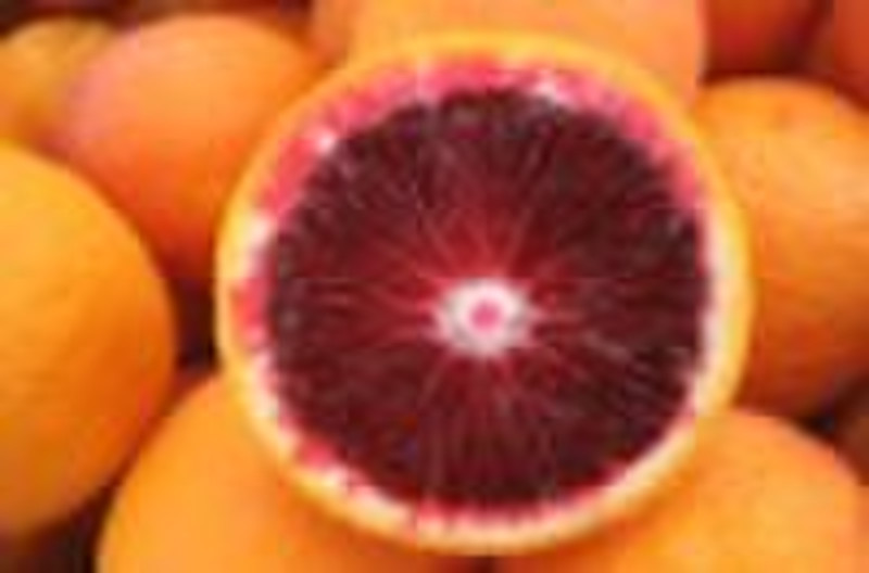 Blood Orange Extract(Anthocyanidin)