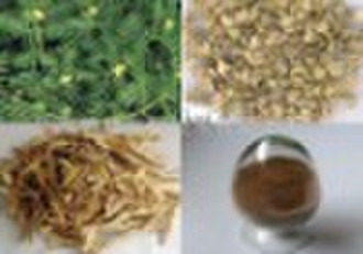 Tribulus Terrestris Fruit Extract