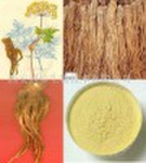 Angelica Root Extract