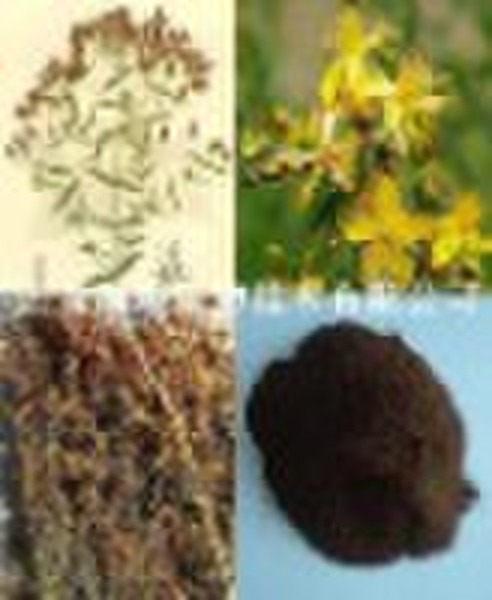 St John's Wort Extract