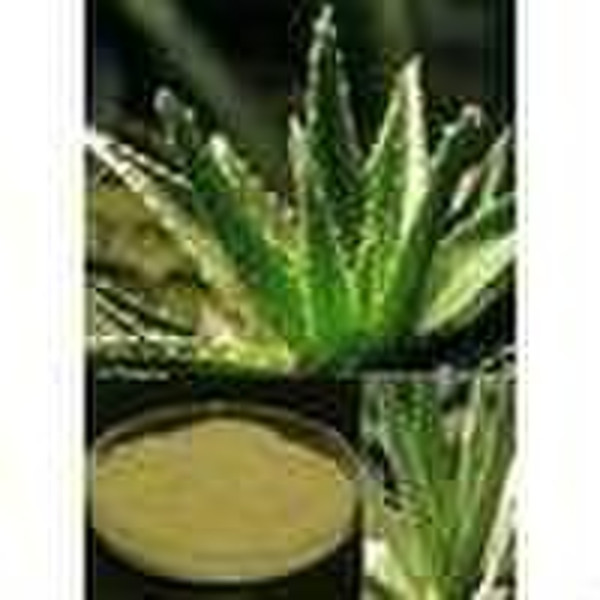 Aloe Vera Extract