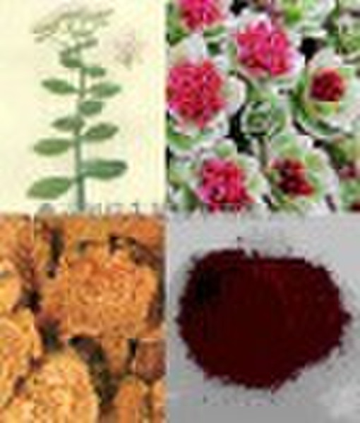 Rhodiola Rosea Extract