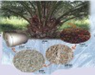 pulp & paper making from palm fiber machinery