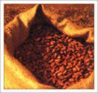 Cocoa Extract