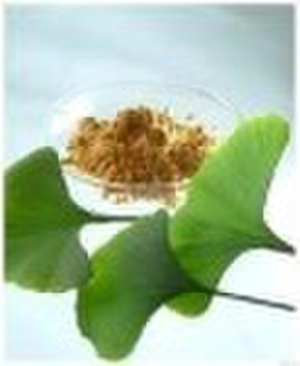 Ginkgo biloba  plant extract