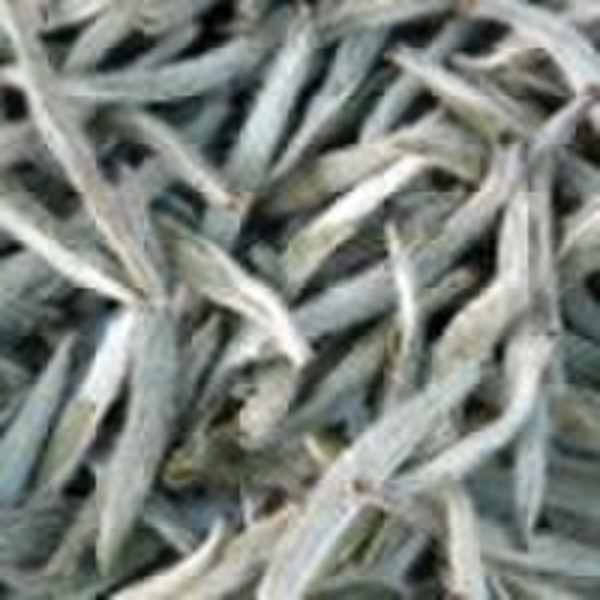 Silver needle white tea