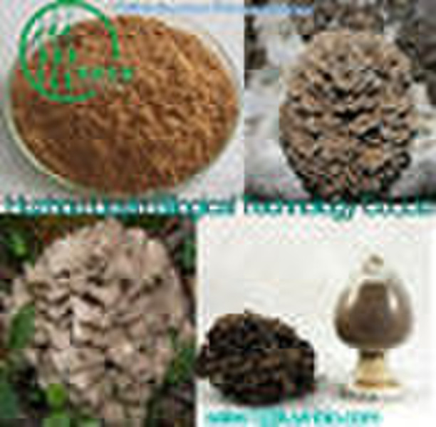 Maitake Polysaccharide