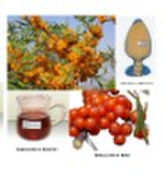 Sea Buckthorn P.E.