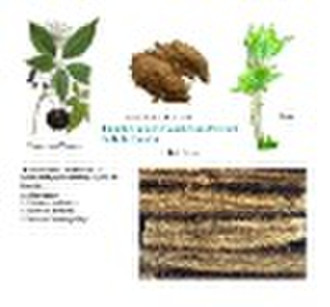 siberian ginseng extract/ciwujia extract