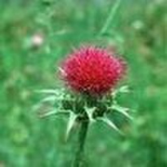 Milk Thistle P.E  Silymarin