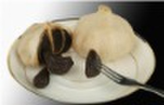 Sell Aged Black Garlic powder