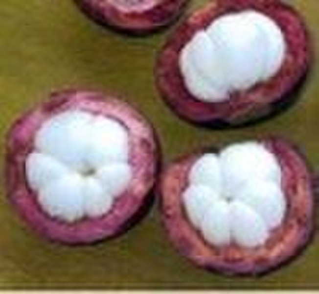 Mangosteen Extract Powder