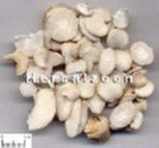 Radix Paeoniae Alba (White Paeony Root)(Bai Shao)