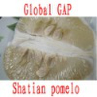 Sweet Shatian pomelo