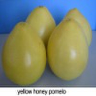 fresh pomelo with high quality