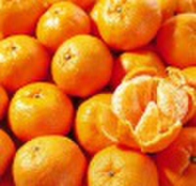 Mandarin orange