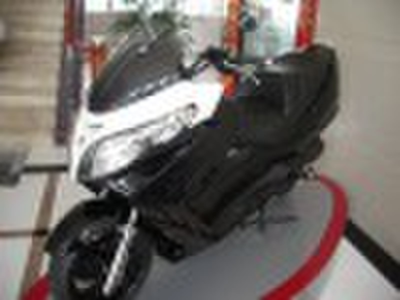 T-5 125/150cc Suzuki EEC gas scooter