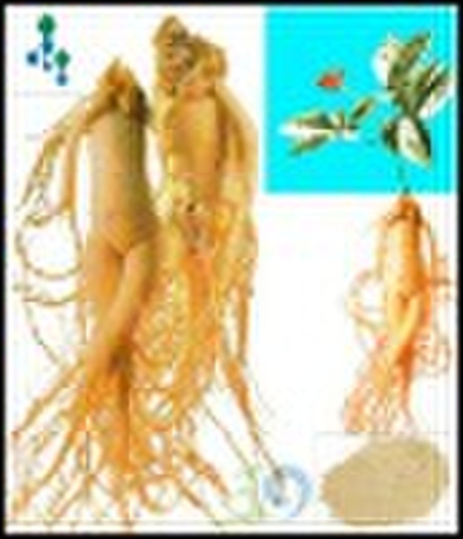 Ginseng Extract