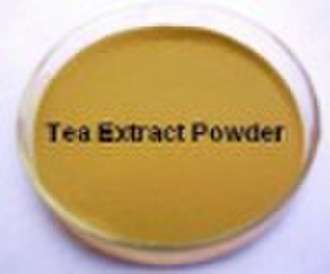 Tea Extract