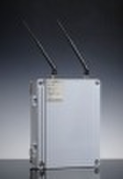 RH550 wireless monitoring station