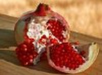 Standardized Pomegranate Extract powder