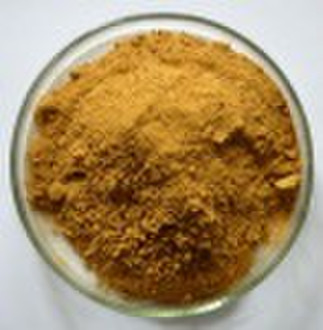 Angelica Extract