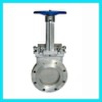 gate valve