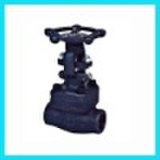 gate valve