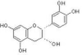 Epicatechin(EC)