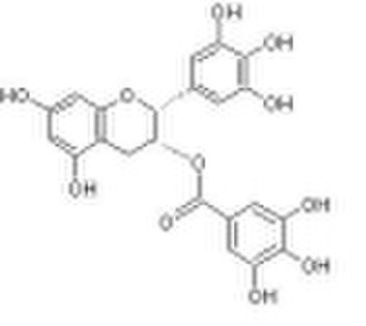 (-)-Epigallocatechin gallate (EGCG)