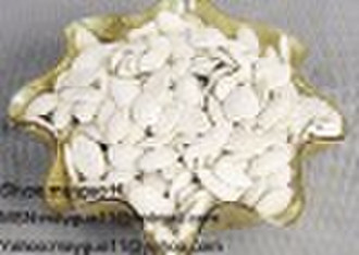 snow white pumpkin seed