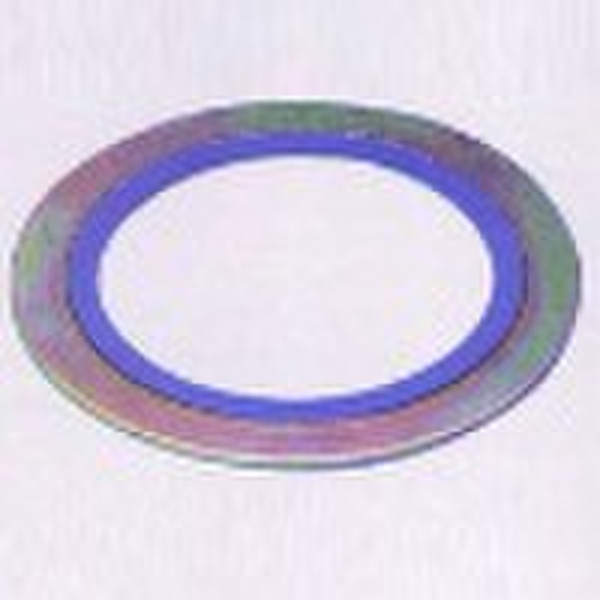 na spiral wound gasket