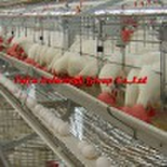 high quality chicken cage for poultry farm