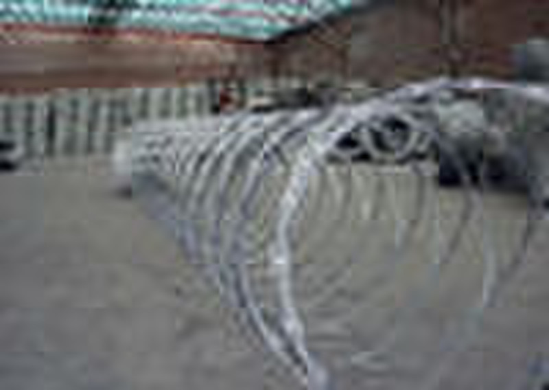 Razor Barbed Wire