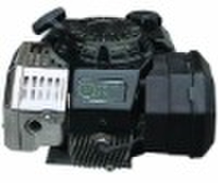 2 Stroke Vertical Shaft Gasoline Engine