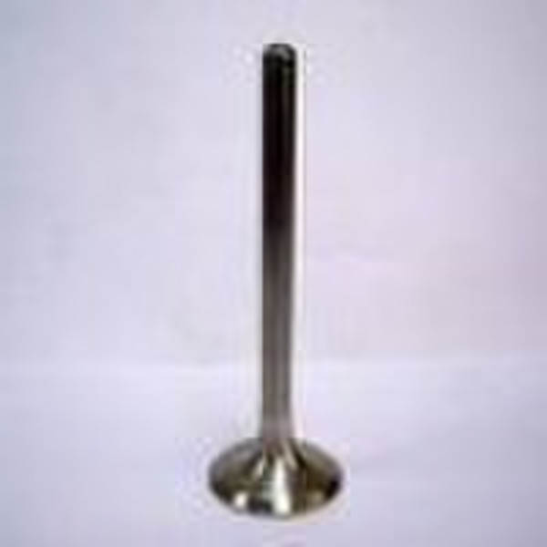 inlet&exhaust valve