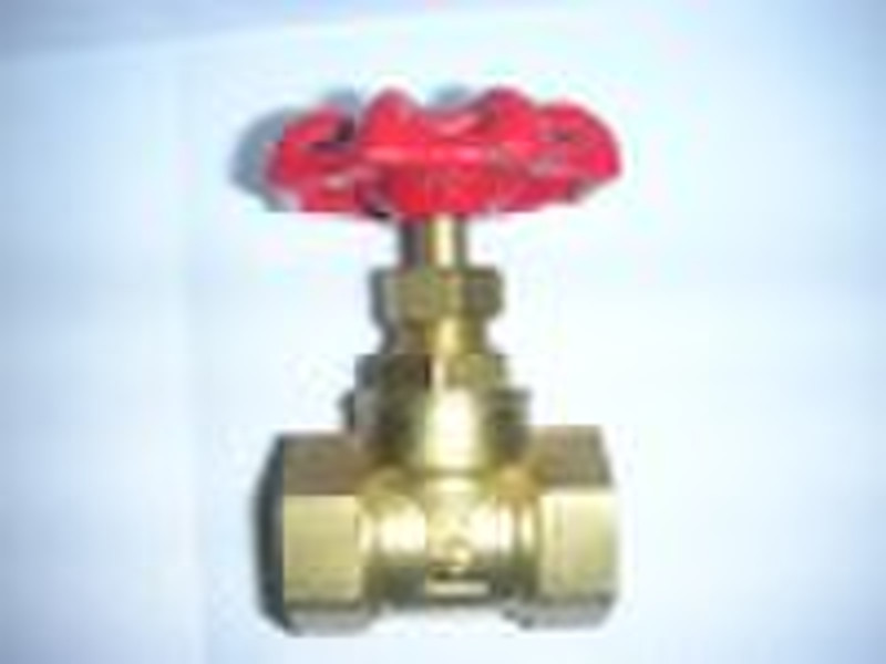 gate valve