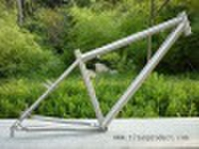 Titanium Bicycle Frame MTB