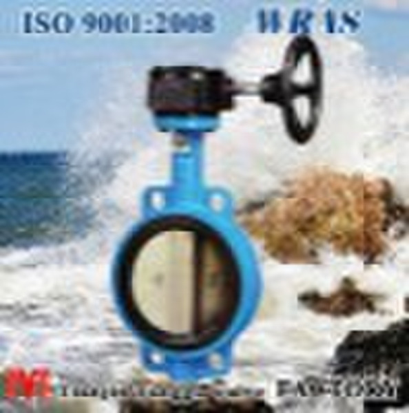 Two Shaft Butterfly Valve