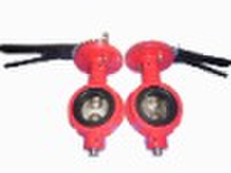 Two Shaft Butterfly Valve