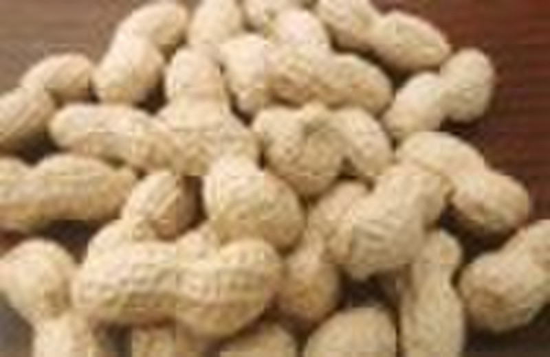 2010 peanut(Groundnut kernels, Long shape)