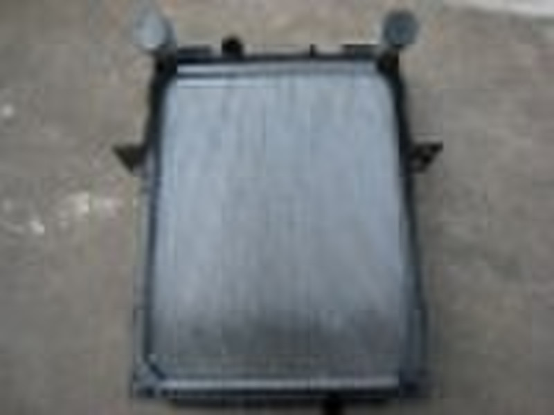 auto radiator (D310)
