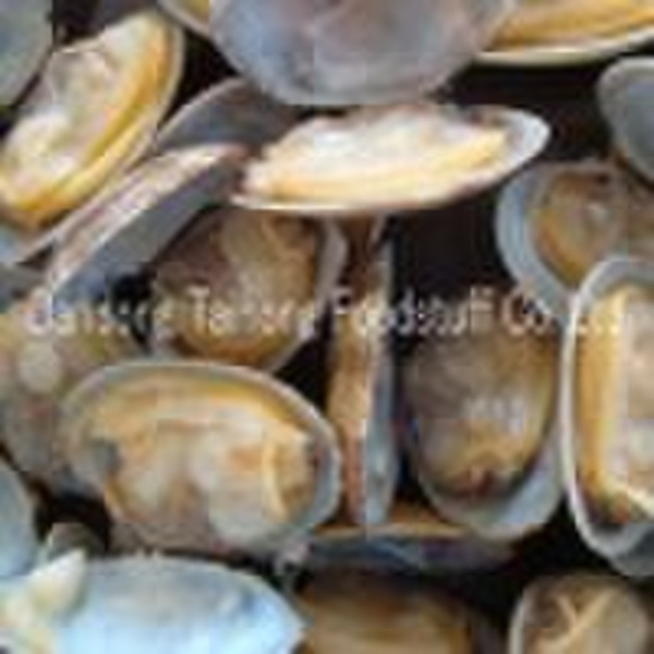 Frozen boiled clam meat Frozen meat