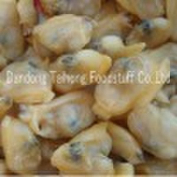 Frozen cooked short necked clam meat Frozen meat