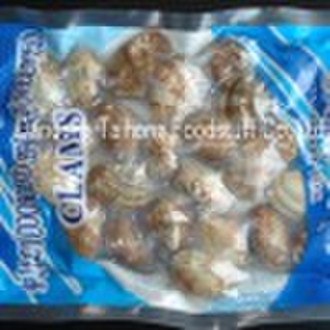 Frozen boiled short necked clam Frozen food