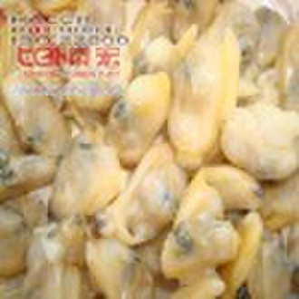 Frozen boiled short necked clam meat Marine produc